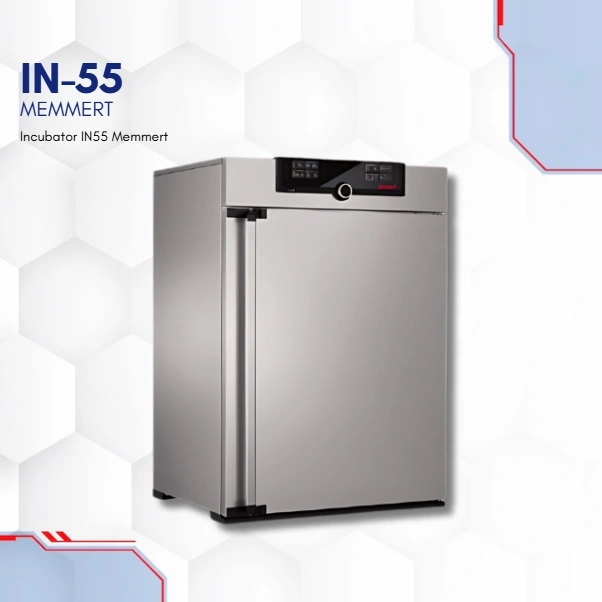 Memmert IN55 Incubator