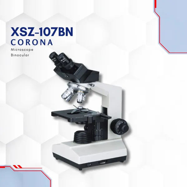 Microscope Binocular XSZ 107BN Corona